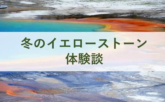 冬のイエローストーンに行って満足した話 アラスカ航空レビュー他